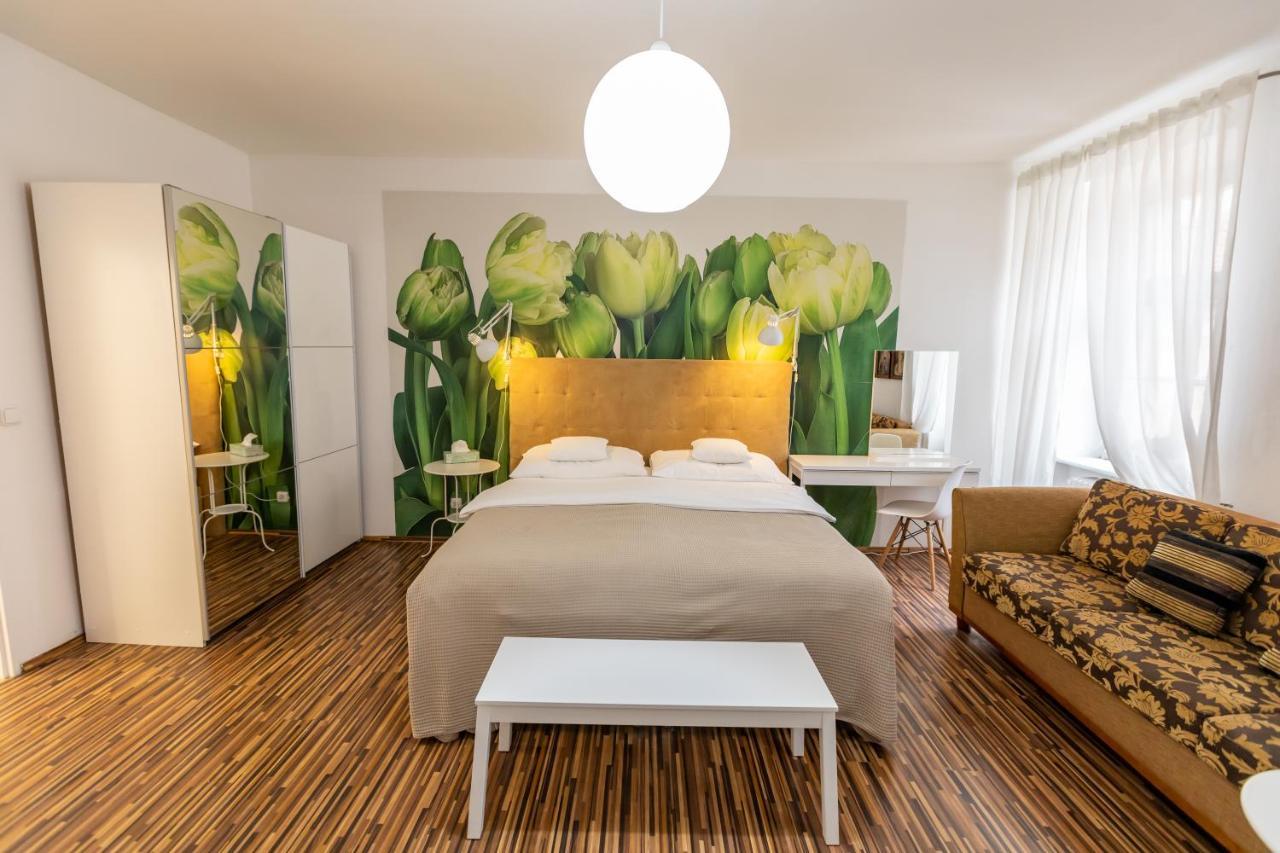 Palac Daun - Studio Apartments ズノイモ エクステリア 写真