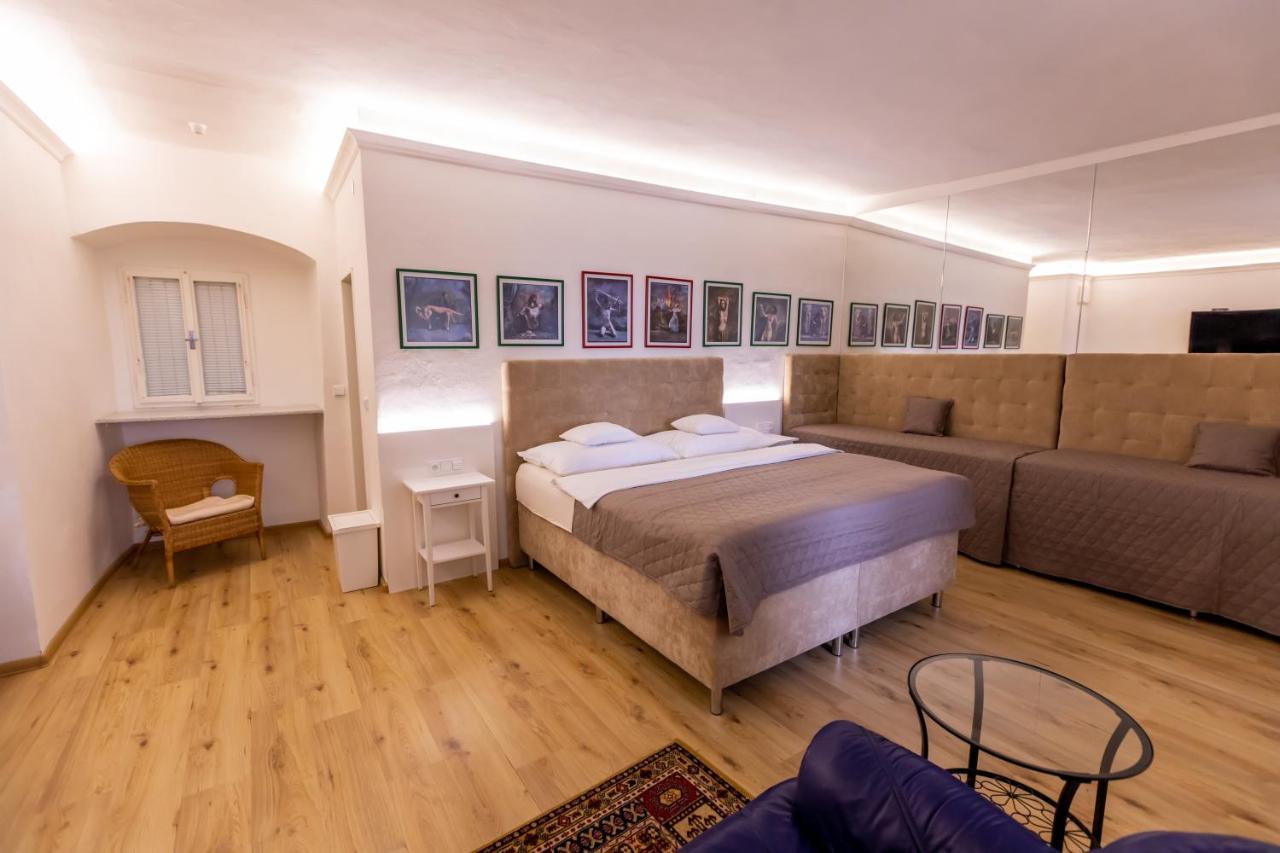 Palac Daun - Studio Apartments ズノイモ エクステリア 写真