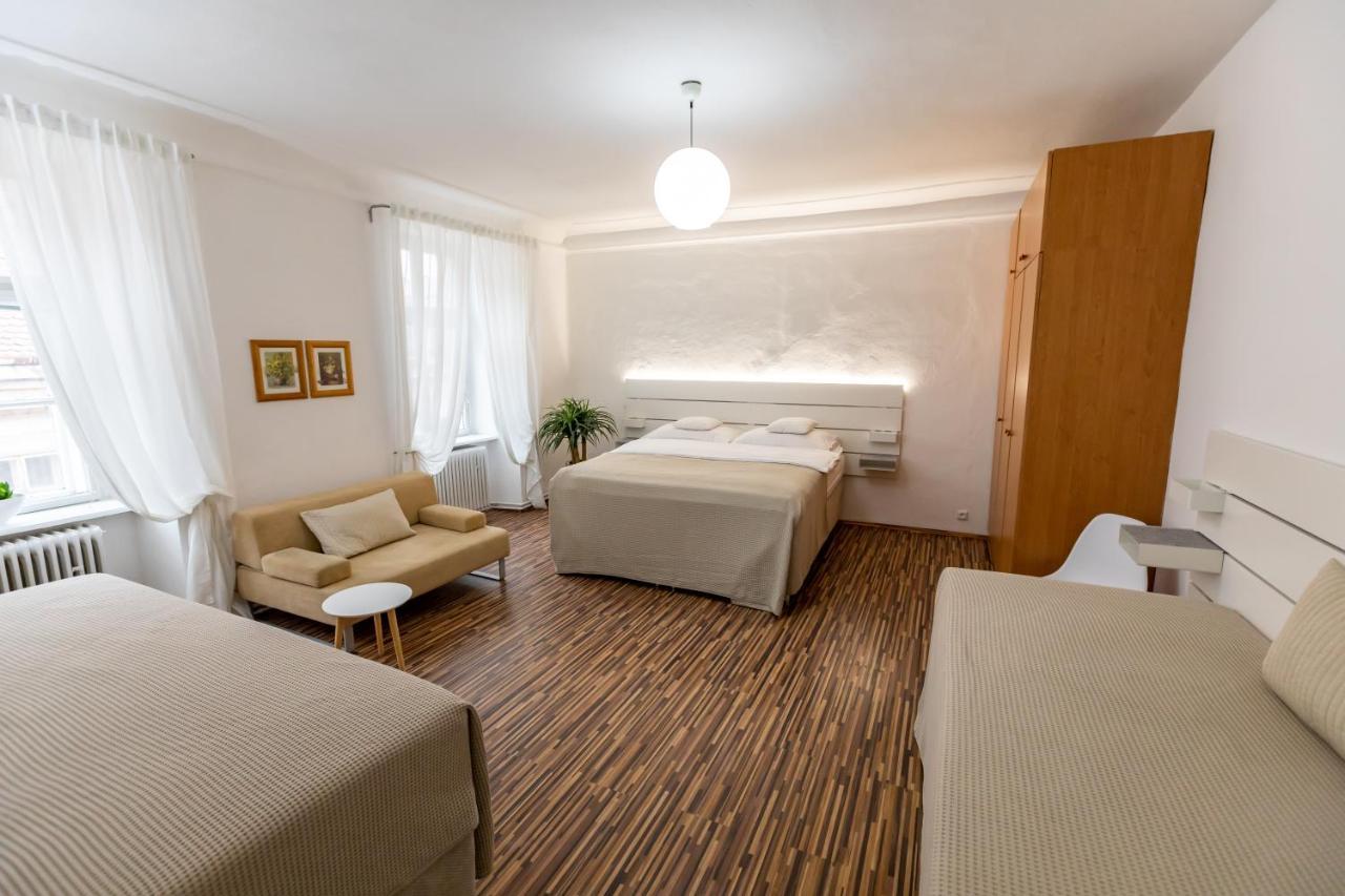 Palac Daun - Studio Apartments ズノイモ エクステリア 写真